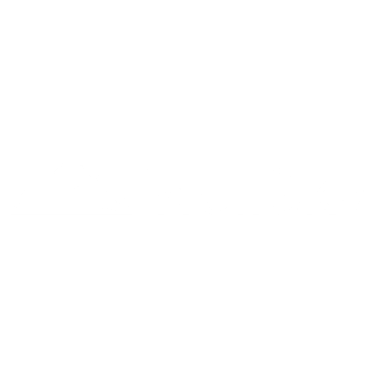 WellSky Logo White